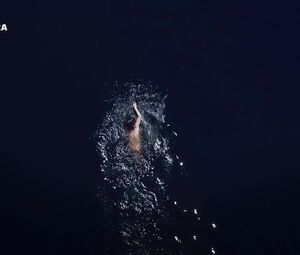 Malou Gorter nude - Oogappels s01e02 (2019)