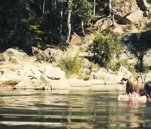 Esther Lubadika, Celeste Buckingham, Stepanka Fingerhutova nude - Bajkeri (2017)