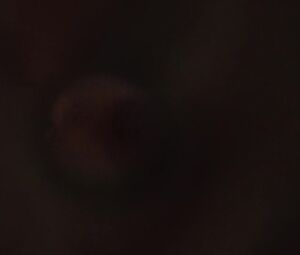 Marina Hands nude - Zone Blanche s02e03-05 (2019)