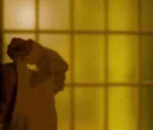 Caiyu Yang, Elane Zhong nude - Fang hua (2017)