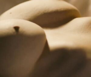 Lola Kelly, Gillian Todd nude - Mean NY (2016)