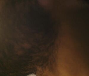 Lola Kelly, Gillian Todd nude - Mean NY (2016)